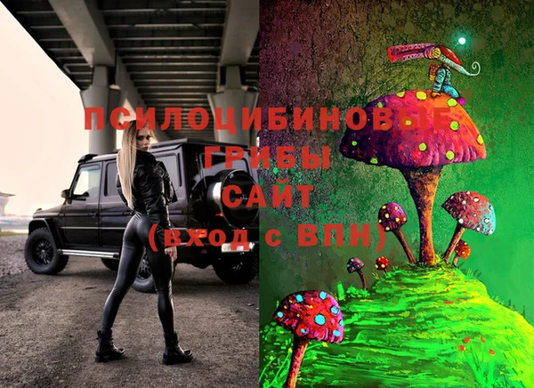 соль ск Богданович