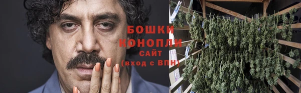 дурь Богородицк