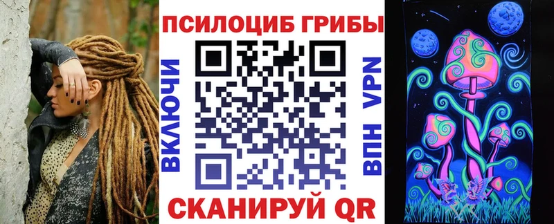 где продают   Борисоглебск  Псилоцибиновые грибы GOLDEN TEACHER 